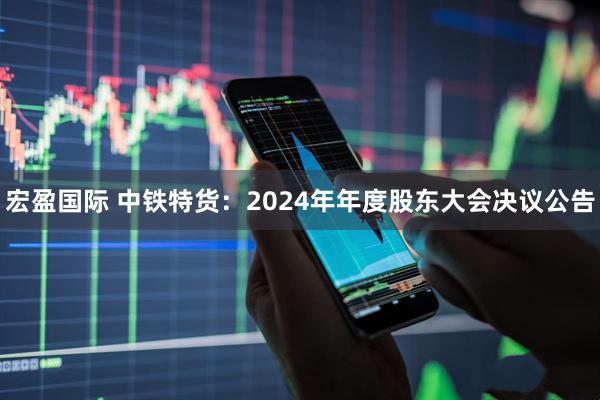 宏盈国际 中铁特货：2024年年度股东大会决议公告
