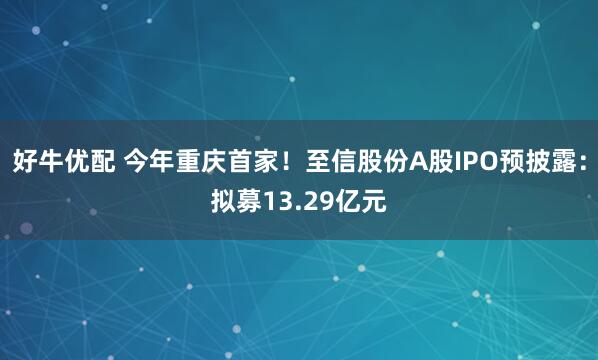 好牛优配 今年重庆首家！至信股份A股IPO预披露：拟募13.29亿元