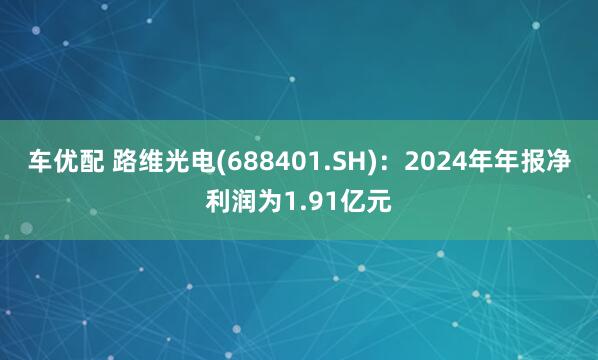 车优配 路维光电(688401.SH)：2024年年报净利润为1.91亿元