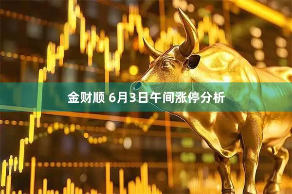 金财顺 6月3日午间涨停分析